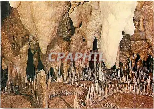 Cartes postales moderne Cuevas de Altamira Stalactites et Stlagmites