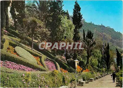 Cartes postales moderne Malaga Jardins de Porte Obscure