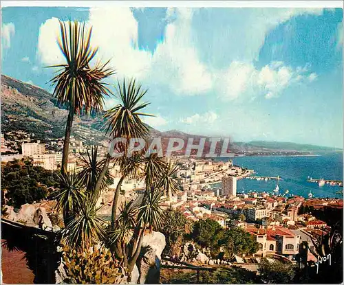 Cartes postales moderne La Cote D'Azur Monte carlo Vue Generale
