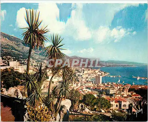 Moderne Karte La Cote D'Azur Monte carlo Vue Generale