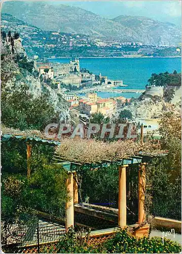 Cartes postales moderne La Cote d'Azur Monte Carlo Vue Generale