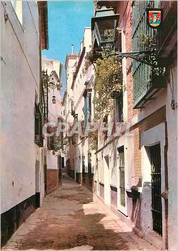 Cartes postales moderne Sevilla Rue de la Pimieta