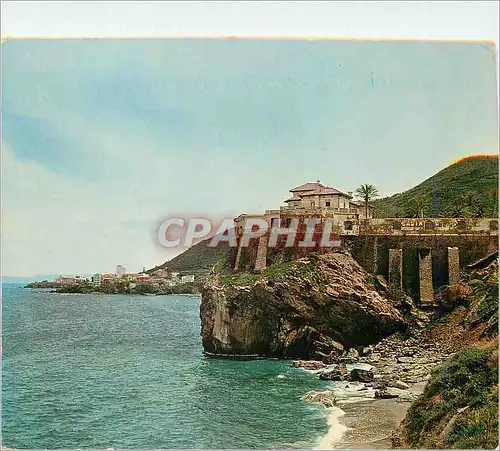 Cartes postales moderne The Beaches of Algiers Cape The Corniche