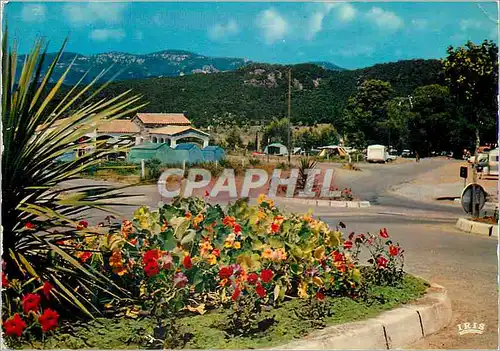 Cartes postales moderne Domaine du Pin de la Legue Frejus (Var) L'Entree du Camp