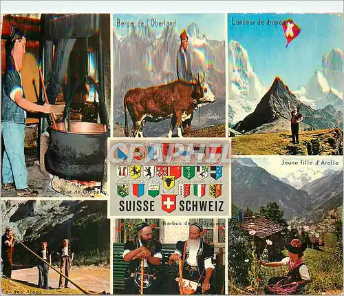 Cartes postales moderne Suisse Vache