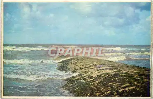 Cartes postales moderne Brise Lames Golf Breker