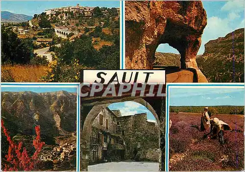 Cartes postales moderne Sault de Vaucluse et ses Environs vue Generale de Sault Les Gorges de la Nesques Brantes au Pied