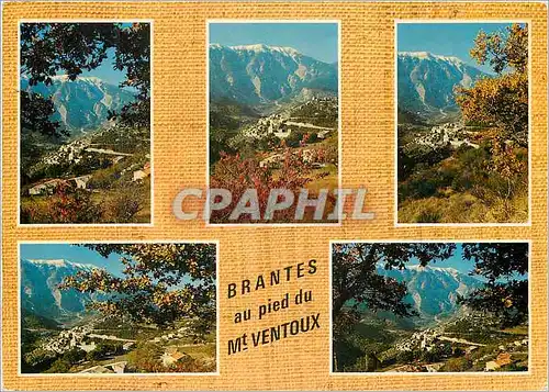 Cartes postales moderne les Belles Images de Provence Brantes au Pied du Mt Ventoux