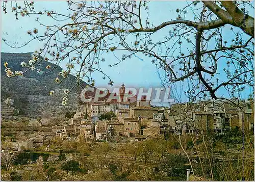 Cartes postales moderne Valldemosa Mallorca Baleares Espana