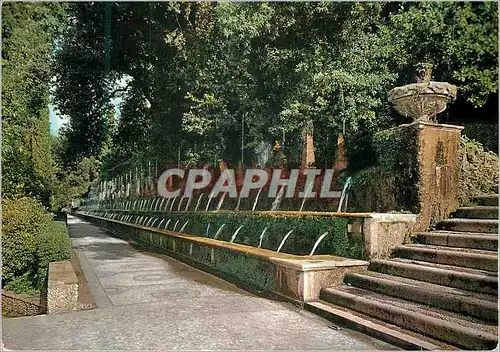 Cartes postales moderne Tivoli Villa d'Esto Avenue des Cent Fontaines