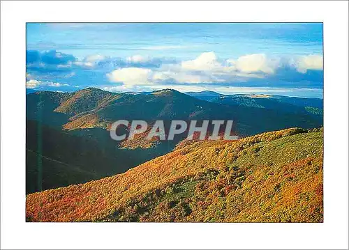 Cartes postales moderne Les Cevennes