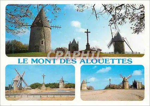 Cartes postales moderne Le Mont des Alouettes (Vendee)