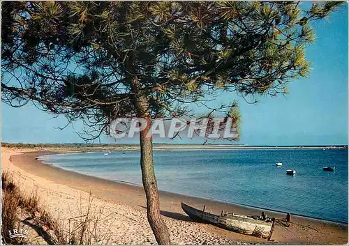 Moderne Karte Cote de Beaute Plage de la Palmyre Bonne Anse