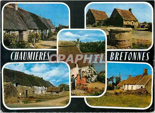 Cartes postales moderne Chaumieres Bretonnes Chaumieres du Morbihan et du Finistere