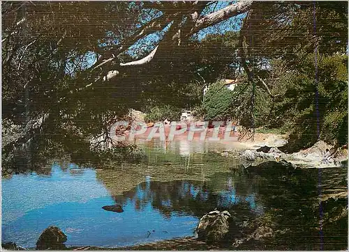 Moderne Karte Plage Ombragee Lumiere et Beaute de la Cote d'Azur