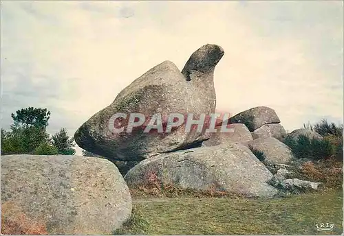 Moderne Karte Le Sidobre (Tarn) Pays des Rochers Tremblants et des Pierres Curieuses Le Roc de L'Oie