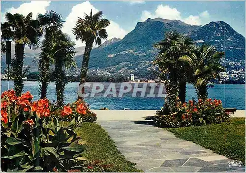 Cartes postales moderne Lugano Paradiso Lugolago e Vista Sul Monte Bre