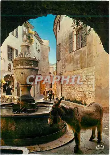 Cartes postales moderne La Cote d'Azur Saint Paul de Vence Halte a la Fontaine Ane Donkey