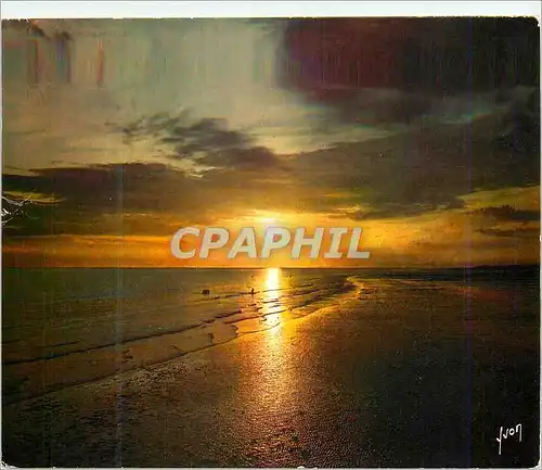 Cartes postales moderne Le Touquet (Pas de Calais) Coucher de Soleil