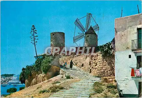 Cartes postales moderne Mallorca (Baleares) Espana Palma Molinos del Jonquet