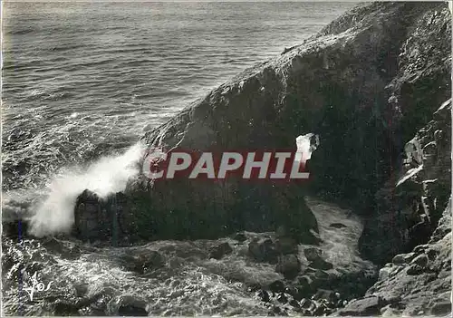 Cartes postales moderne Presqu'Ile de Quiberon (Morbihan)