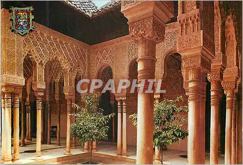 Cartes postales moderne Granada L'Alhambra Colonnes et Arcades Cours des Lions