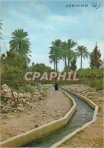 Cartes postales moderne Jericho La Fontaine d'Elisha