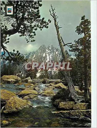 Cartes postales moderne Pirineu Catala (Lieida) Vall d'Espot Sant Maurici Parc Nacional