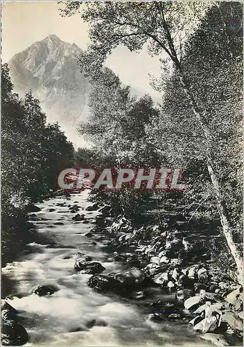 Cartes postales Env de cauterets(htes pyrenees) le pic peguere et le gave