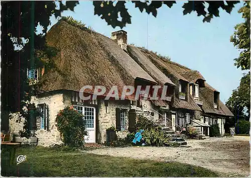 Cartes postales moderne La luxuriante normandie 1545 maison normande au toit de chaume