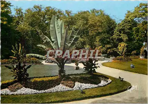Cartes postales moderne Avranches 17 (manche) le jardin des plantes