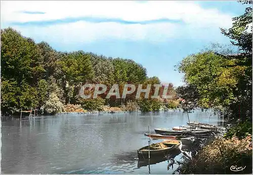 Cartes postales moderne Chennevieres sur marne (s et o) b la marne