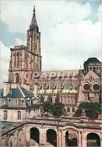 Cartes postales moderne L alsace pittoresque strasbourg 67 482 119 la cathedrale vue du palais rohan