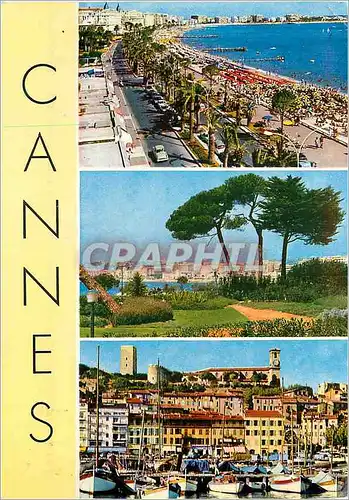Moderne Karte Cannes 196 souvenir de cannes