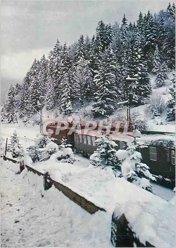 Cartes postales moderne Winterreisen winterfreuden mit der bahn Train