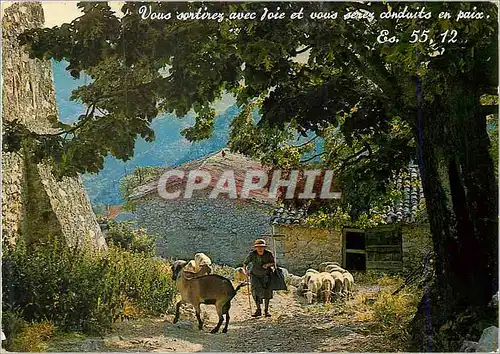 Moderne Karte Les belles couleurs d nos provinces 13 029 bergere et son troupeau Chevre Mouton