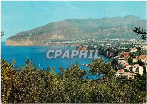 Cartes postales moderne Sorrento panorama