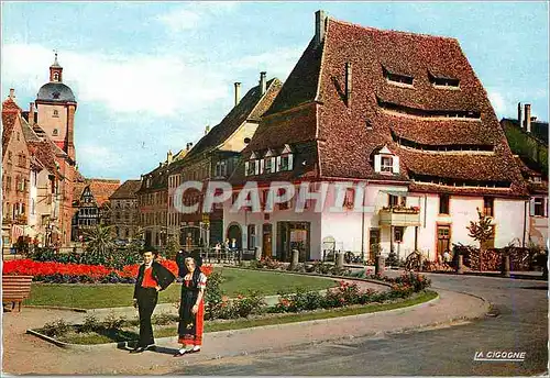 Cartes postales moderne L alsace pittoresque 67 567 117 le salzhaus a wissembourg