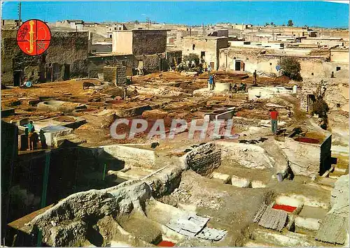 Cartes postales moderne Marrakech les tanneurs