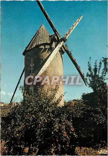 Cartes postales moderne Vendee pittoresque 85119 paysage familier du bocage le moulin