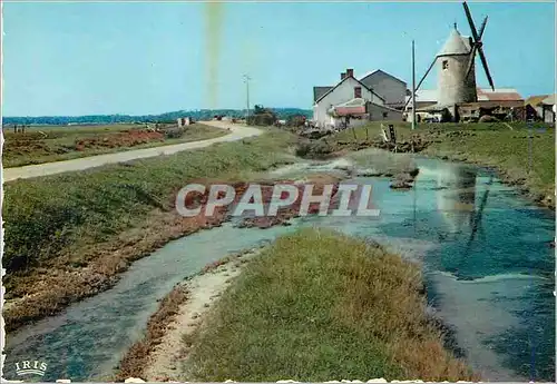 Cartes postales moderne Vendee pittoresque 85 112 un coin du marais