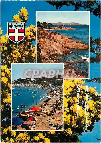 Cartes postales moderne La cote d azur varoise 8 21 saint aygulf (var)