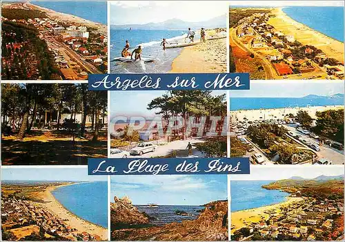 Cartes postales moderne 66 argeles sur mer la plage des pins