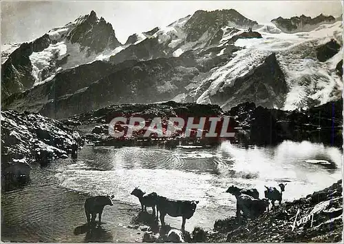Cartes postales moderne La grave (htes alpes) plateau d en paris le lac lerie (2375 m) la meije