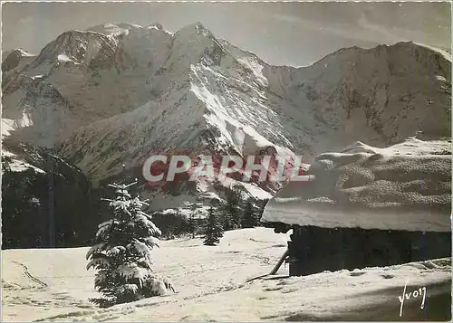 Cartes postales moderne Saint gervais (hte savoie) plateau du bettex et le mont blanc