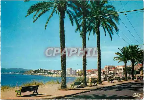 Cartes postales moderne Reflets de provence toulon (var) 83137 33 la corniche du mourillon