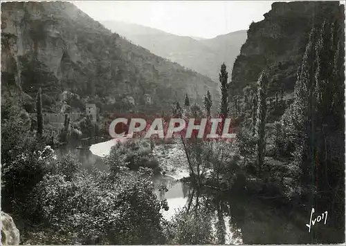 Moderne Karte Gorges du tarn pougnadoires (lozere) les rives du tarn