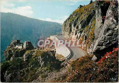 Cartes postales moderne Les hautes vosges  la schlucht (alt 1139 m) la route de munster