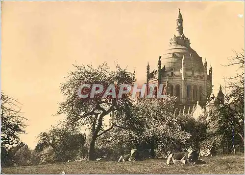 Cartes postales moderne 21 basilique de lisieux le dome sur des champs Vaches