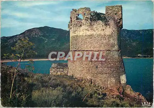 Cartes postales moderne Charmes et couleurs de la corse  la tour de sagone